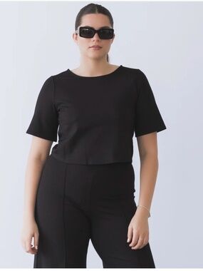 Ripley Rader Quiet Luxury Classic Black Ponte Short Sleeve Top Black Size 3+